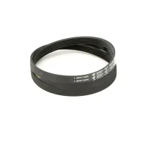 2466300201 Blomberg alternate view 2