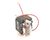 25752 Henny Penny alternate view 2