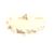 2601415 Multiplex alternate view 3