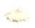 2601415 Multiplex alternate view 5