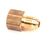 2E-70451 Bloomfield alternate view 5