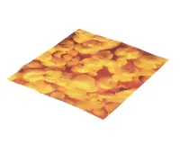 2M-Y8497 Star alternate view 5