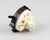 300026 Lamber-eurodib alternate view 5