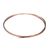 315-10064-11 Traulsen alternate view 5