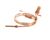 323-40558-00 Traulsen alternate view 5