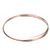 326-60386-04 Traulsen alternate view 1