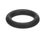 33.0397.0000 Schaerer alternate view 2