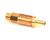 3328799099 Schaerer alternate view 3
