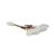 333-60117-00 Traulsen alternate view 3