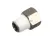 3370061724 Schaerer alternate view 1