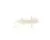 3370063438 Schaerer alternate view 1