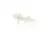 3370063438 Schaerer alternate view 3