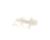 3370063438 Schaerer alternate view 1