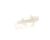 3370063438 Schaerer alternate view 5