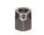 3370063664 Schaerer alternate view 2