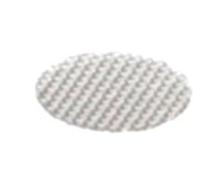 3370067186 Schaerer alternate view 1