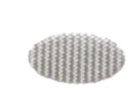 3370067186 Schaerer alternate view 2