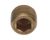 3370068156 Schaerer alternate view 5