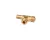 3370068340 Schaerer alternate view 1