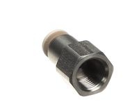 3370069489 Schaerer alternate view 2