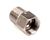 3370069498 Schaerer alternate view 4