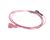 3370069605 Schaerer alternate view 1