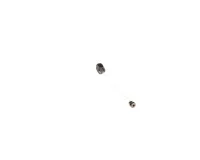 3370069825 Schaerer alternate view 4