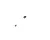 3370069825 Schaerer alternate view 5