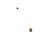 3370069826 Schaerer alternate view 2