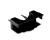3370069863 Schaerer alternate view 3