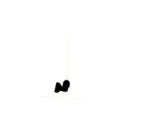 3370069981 Schaerer alternate view 4