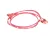 3370073846 Schaerer alternate view 1
