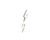 3370075185 Schaerer alternate view 2