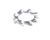 3371073004 Schaerer alternate view 3