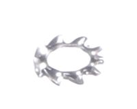 3371073004 Schaerer alternate view 5