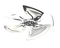 34346 Silver King alternate view 4