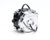 36173 Silver King alternate view 2