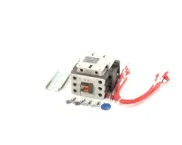 37296 Blodgett alternate view 1