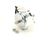 37485S Silver King alternate view 1
