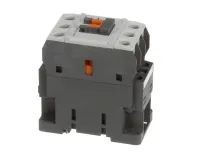 38081 Blodgett alternate view 4