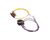 38338.0000 Bunn alternate view 2
