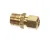 38844 Blodgett alternate view 1