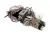 39228 Blodgett alternate view 2