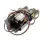 39228 Blodgett alternate view 5