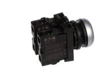 3Q6031-11 Stephan alternate view 4