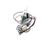 401782 Globe alternate view 2