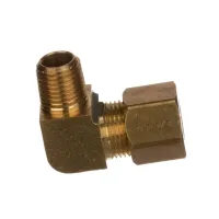 40447 Blodgett alternate view 2
