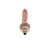 40501100 General alternate view 4