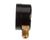 40549 Blodgett alternate view 1