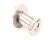40843 Blodgett alternate view 6